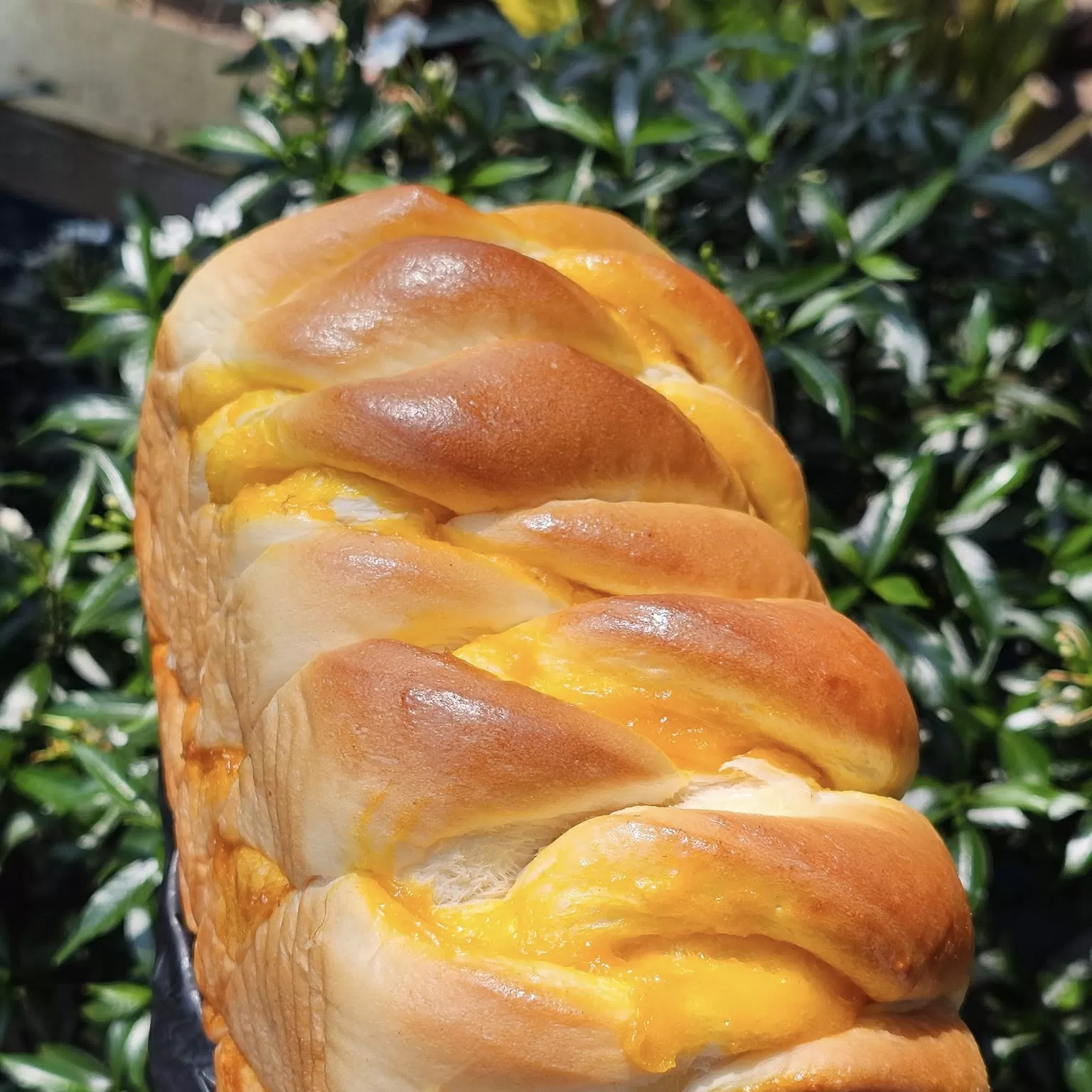 Bánh mỳ Trứng muối