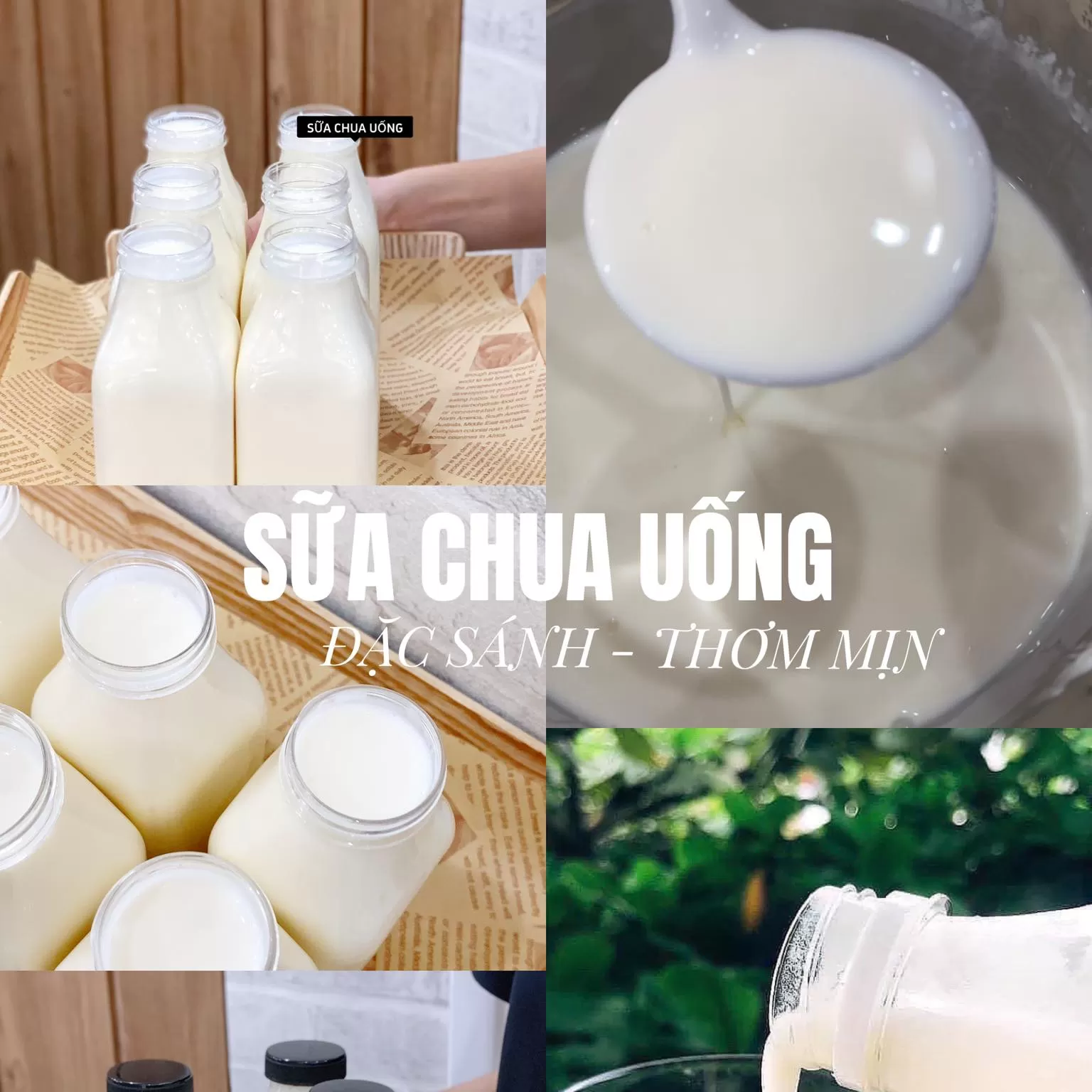 Sữa chua uống