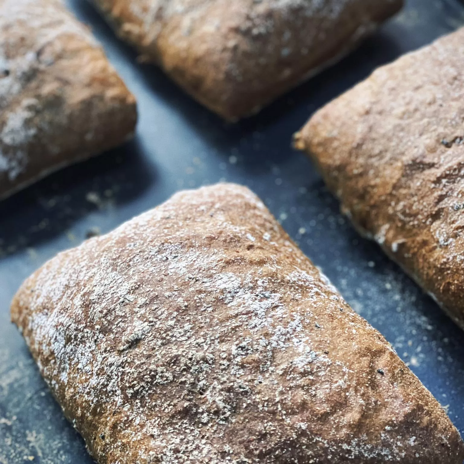 Black Ciabatta