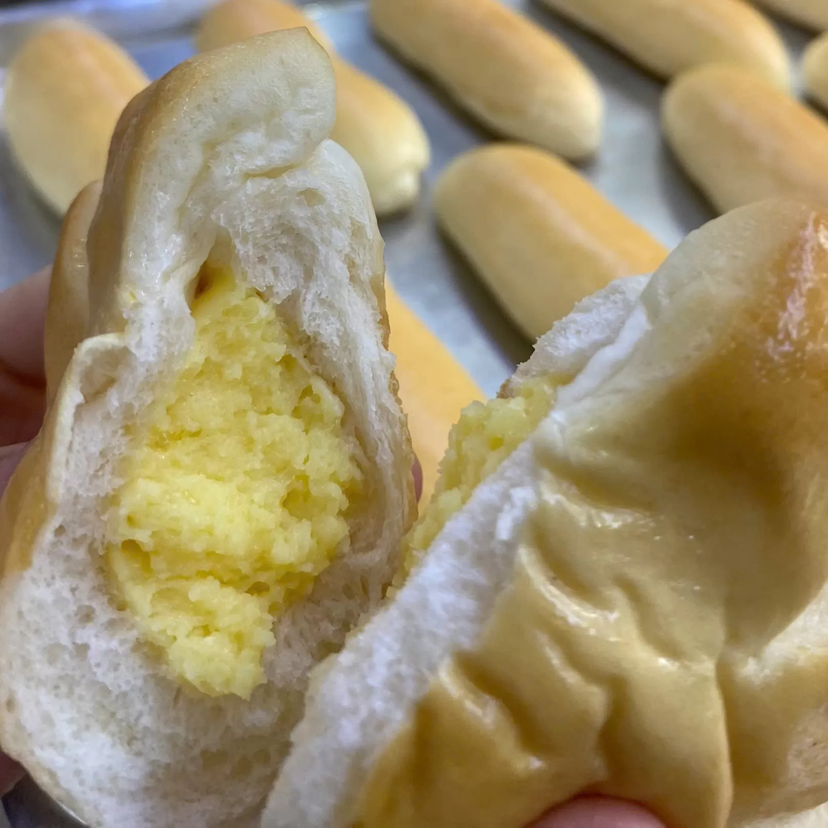 Bánh sò